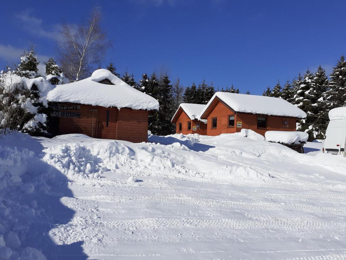 Bed and Breakfast Widok Цисна Экстерьер фото